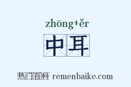 中耳是什么意思的图片